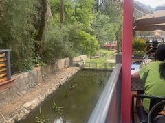 -丽泽山庄·生态怀柔菜·虹鳟鱼(红螺寺店)