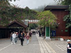 -野象谷景区