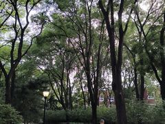 -玲珑塔公园