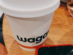 -Wagas沃歌斯(汇智店)