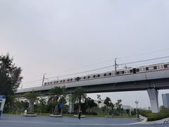 -宝安西湾红树林湿地公园