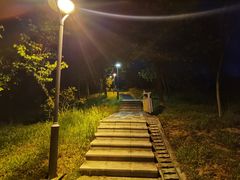 -聚龙山公园