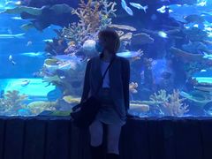 -多彩贵州城极地海洋世界