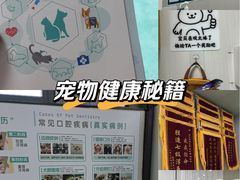 -东莞宠友24H宠物中心医院·转诊夜诊·异宠(新河北路院)