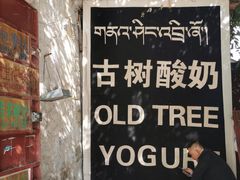 -古树酸奶(八廓南街店)