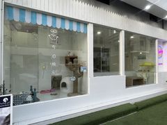 -BABYDOG宝贝狗宠物乐园(欧洲城店)