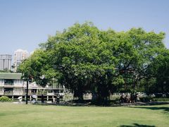 -溪岸路花鸟市场