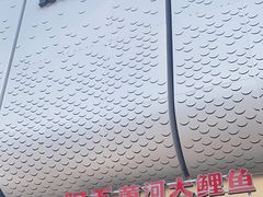 -阿五黄河大鲤鱼(英协路店)
