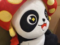 -海底捞火锅(新松江路生日主题店)
