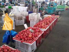 -上海江杨农产品批发市场蔬菜交易二区