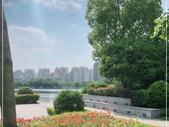 -南翔镇银翔湖公园