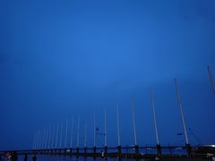 -碧海金沙