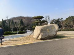 -洛阳古墓博物馆