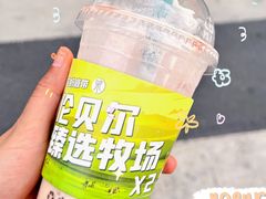 -茉酸奶(春熙路店)