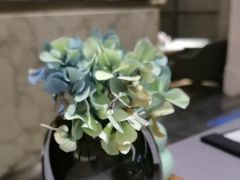 -金海华·悦食东方(苏州中心商场店)