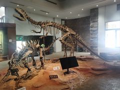 -自贡恐龙博物馆