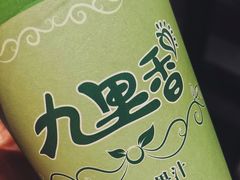 -九里香奶茶果汁(碧湖店)
