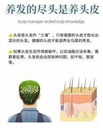 -Bollins波林丝•专研护发中心