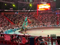 -俄罗斯国家大马戏团