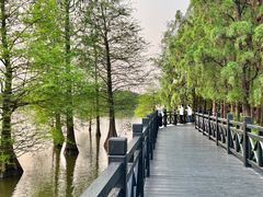-海珠湖公园