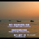 北海 涠洲岛日落🌄丨落日就是温柔本身