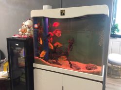 -妙睫屋日式美甲美睫