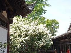 -常熟方塔园