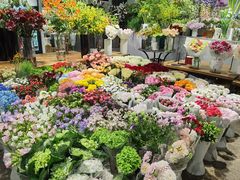 -双季花艺园艺市场(浦东店)