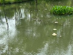 -黄陂区野村谷景区