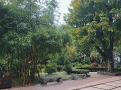 -晓港公园
