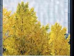 -星巴克(杭州大厦C座店)