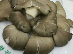 -清真·锦翔炝锅鱼(明德门店)