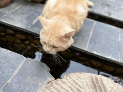 -炊烟餐厅
