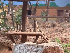 -石家庄市动物园