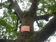 -福建鲤鱼洲酒店