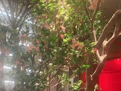 -星·South Beauty·俏江南(国贸店)