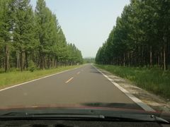 -塞罕坝国家级自然保护区