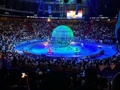 -俄罗斯国家大马戏团