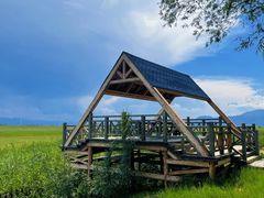 -野鸭湖国家湿地公园