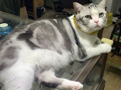 -百金通黄金回收首饰定制维修(珠江路总部)