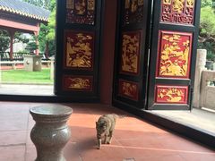 -碧江金楼