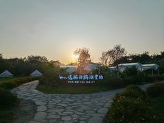 -老杨砂锅鱼庄
