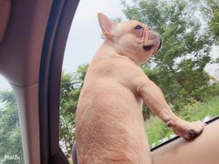 -东戴河风景区-止锚湾