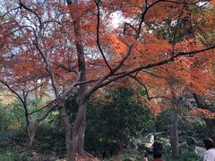 -无锡惠山寺