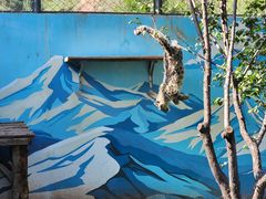 -青藏高原野生动物园
