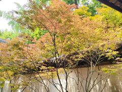 -成都杜甫草堂博物馆