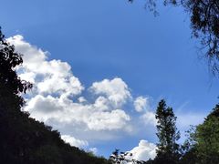-黔灵山公园