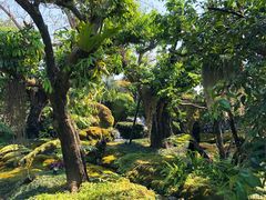 -Chom Cafe and Restaurant