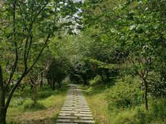 -白马涧龙池景区