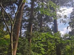 -东天目山风景区